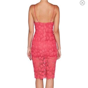 bardot tayla lace cocktail dress